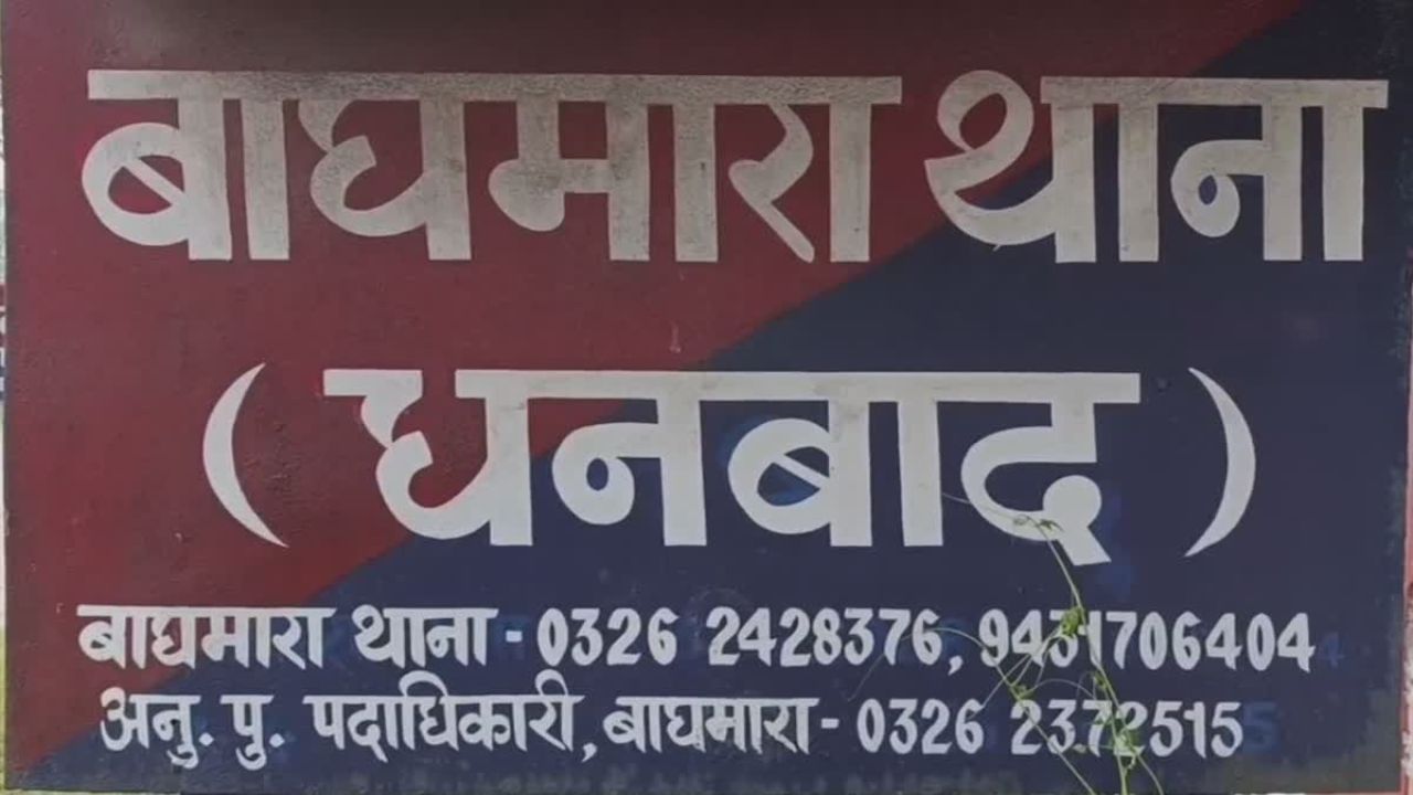 सेप्टिक टैंक