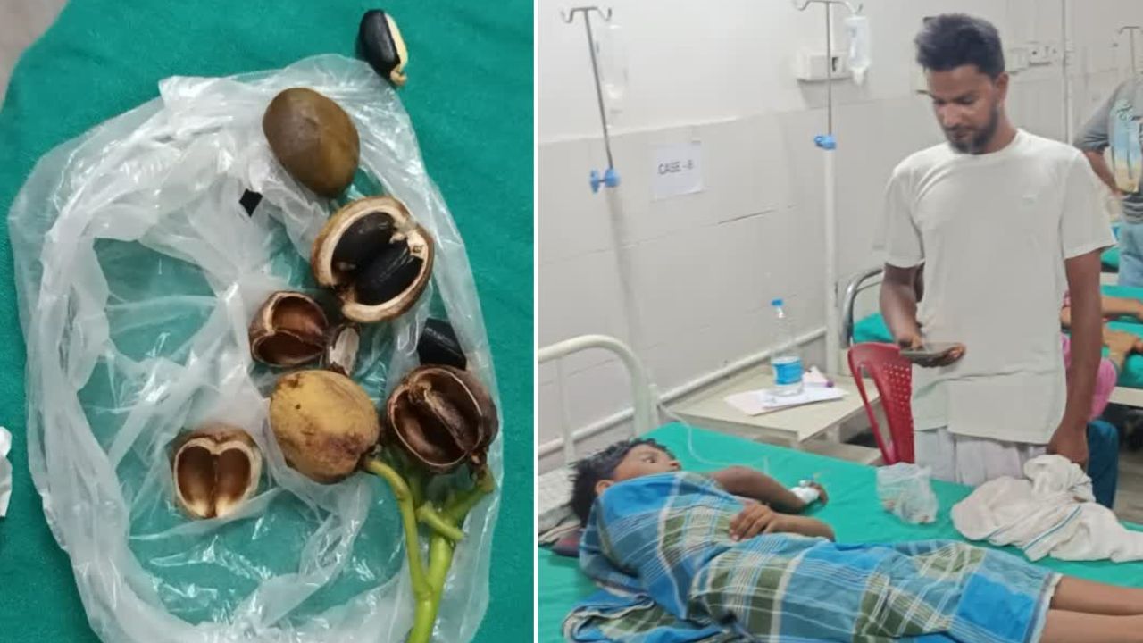 जहरीले फल