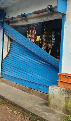 हाथियों