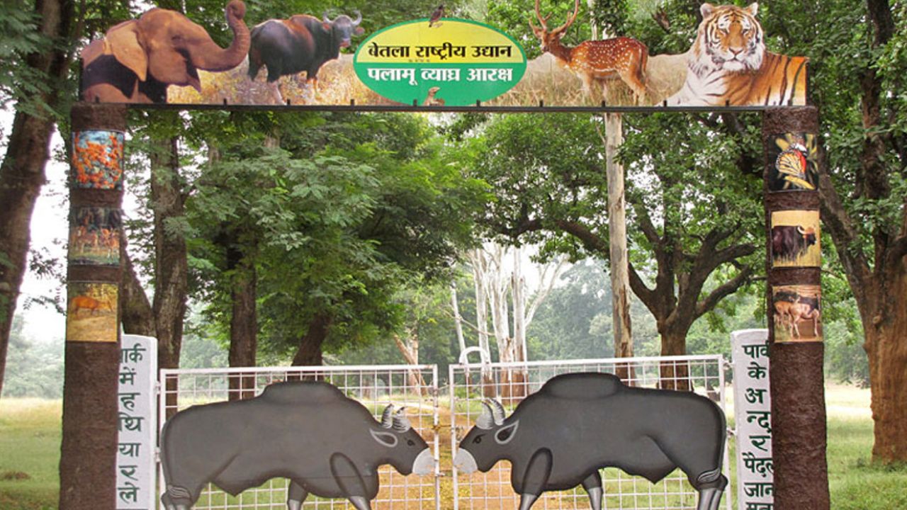 पलामू टाइगर रिजर्व