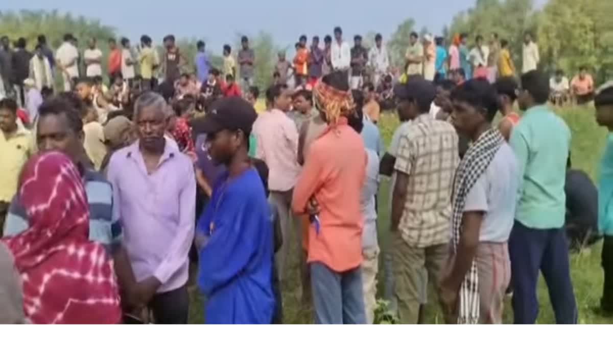 हाथियों ने सहायक अध्यापक