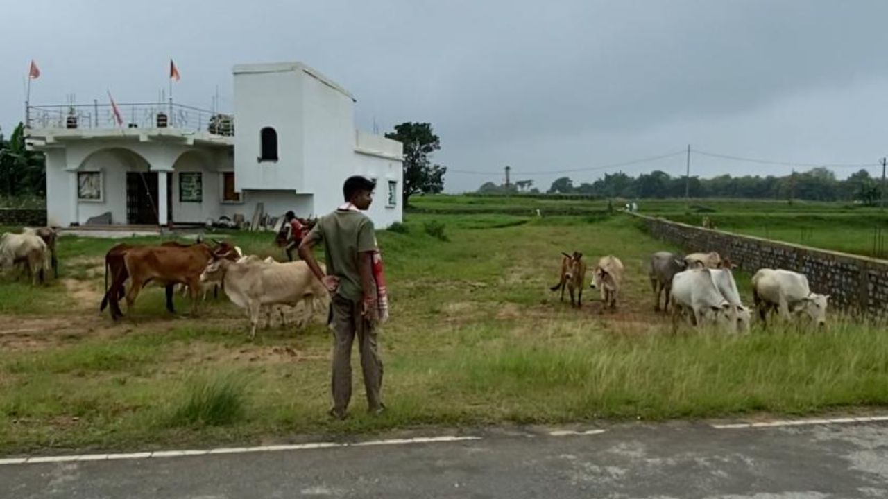 बजरंग दल