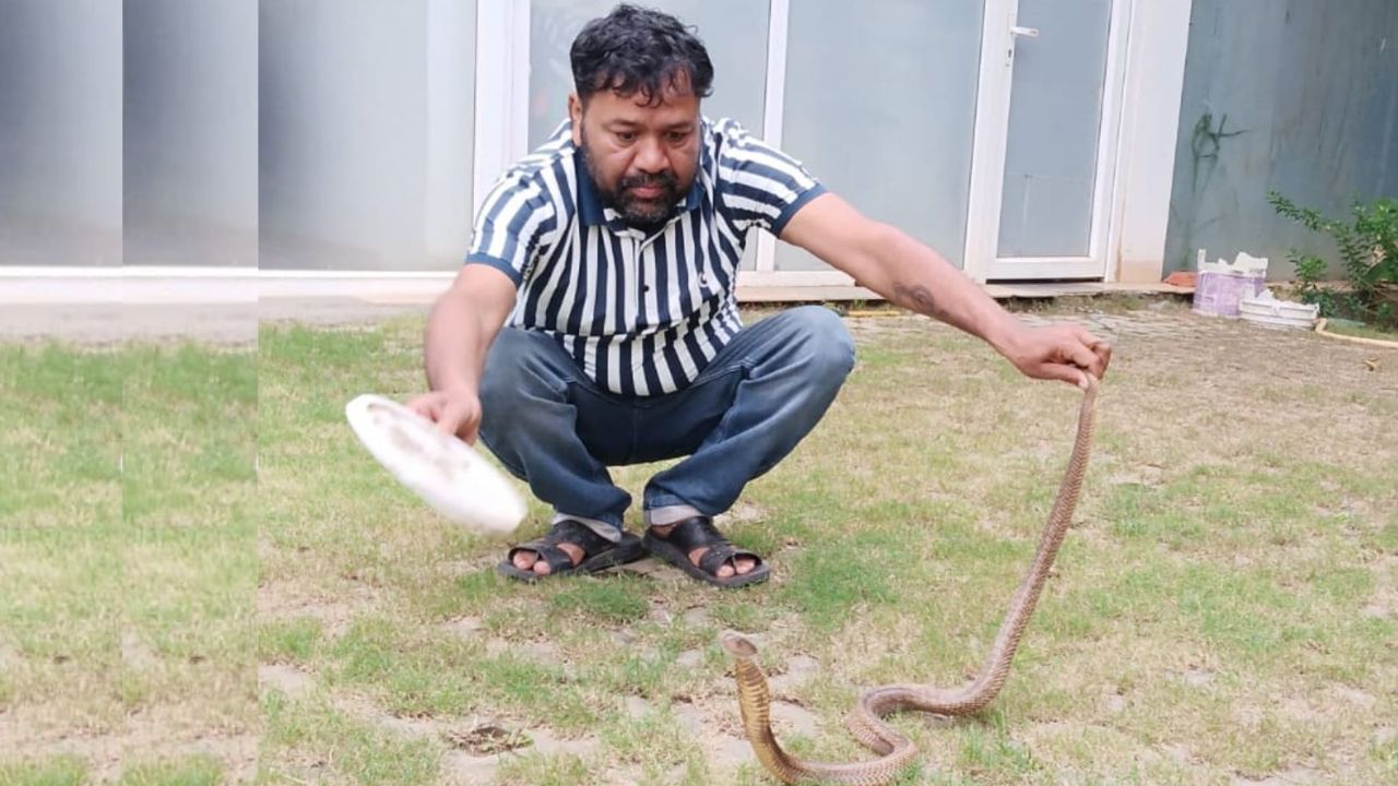 धोनी