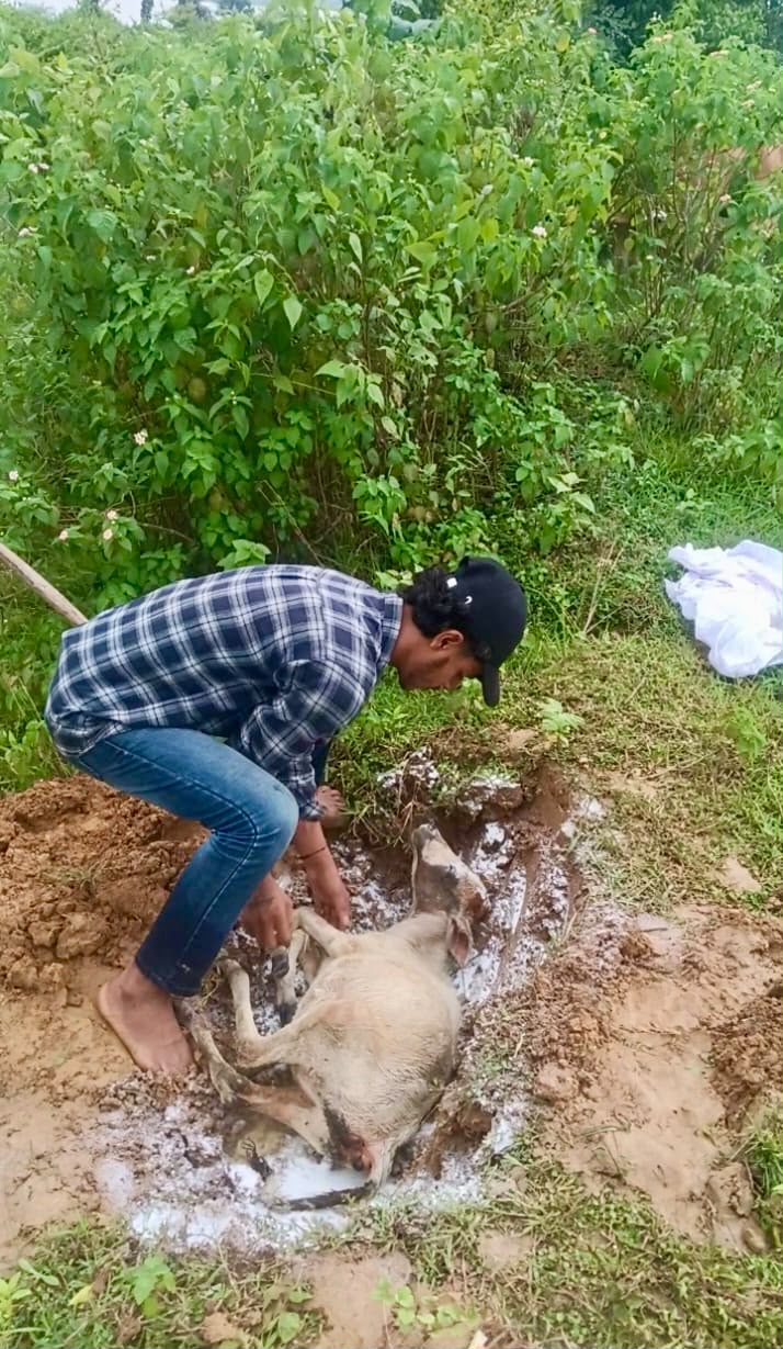 बजरंग दल