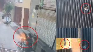 गुलाब सिद्धू