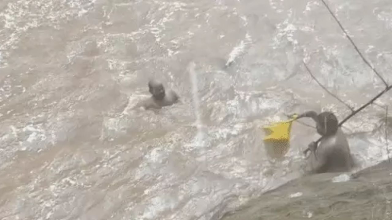 वृंदाहा वॉटरफॉल