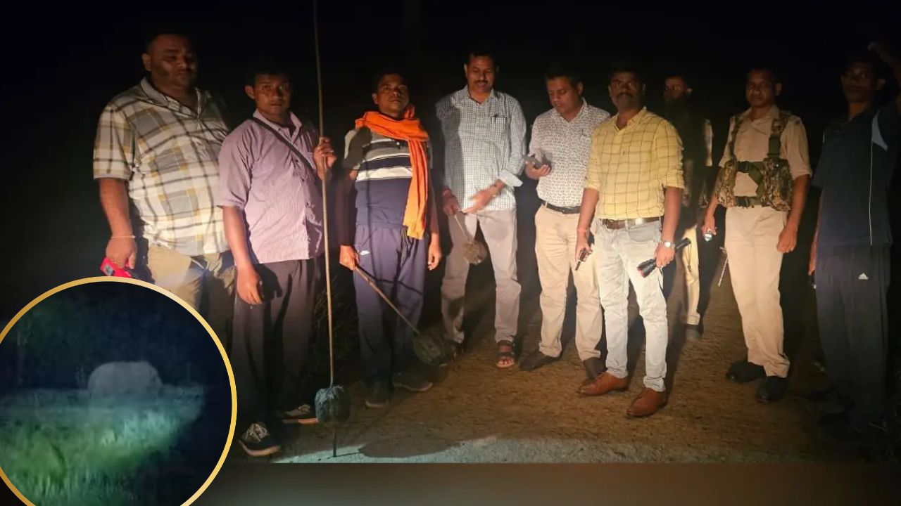 सिमडेगा