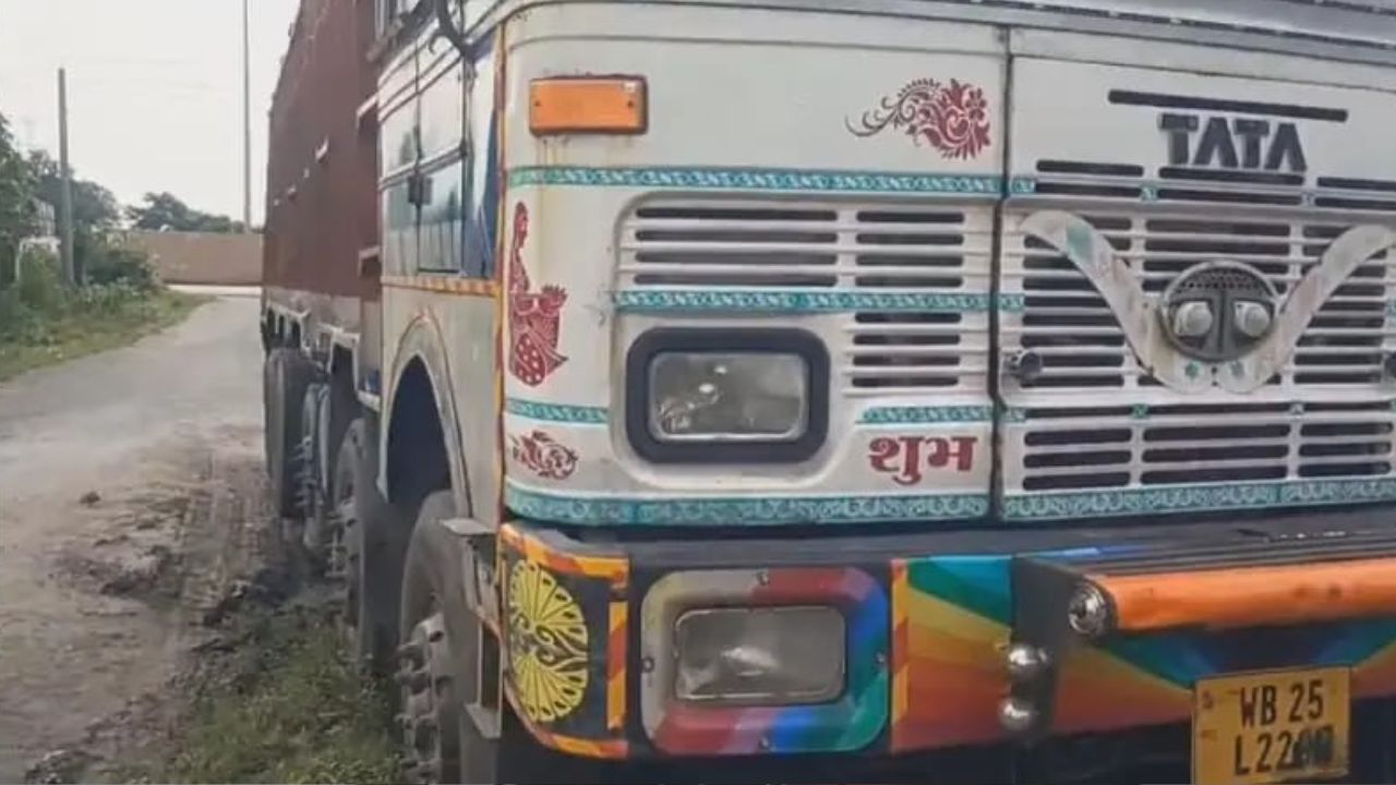 गोवंश