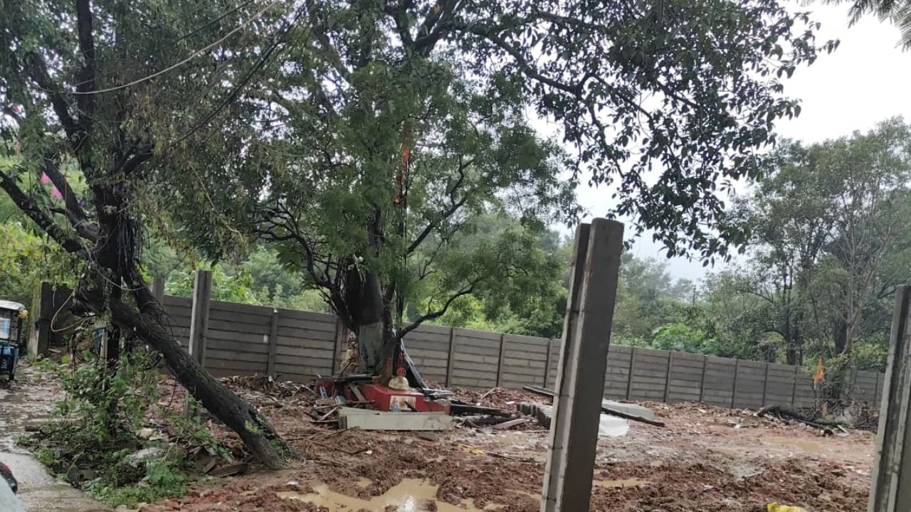 नगर निगम