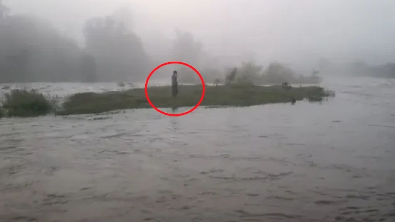 गर्भवती पत्नी