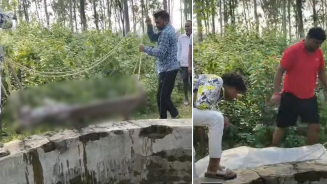 तीन दिन