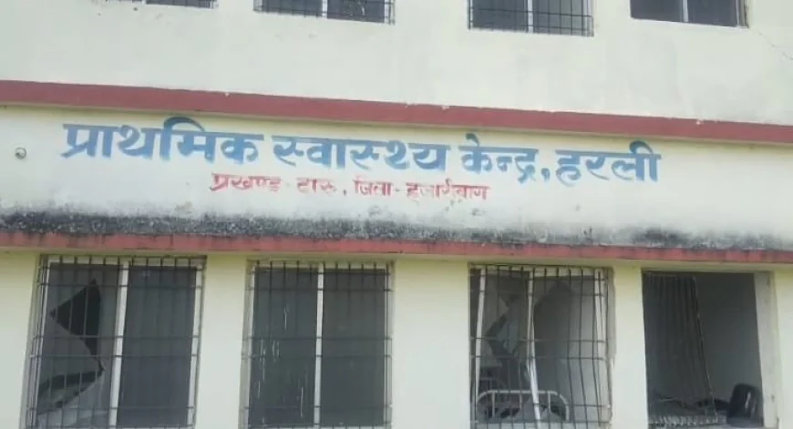अस्पताल में घुसा हाथी