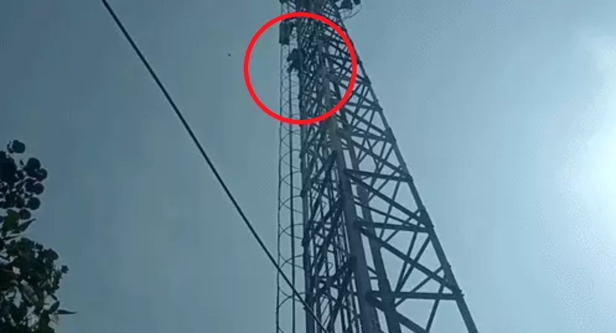 मोबाइल टावर