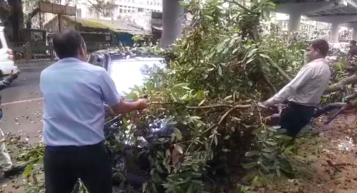 कार